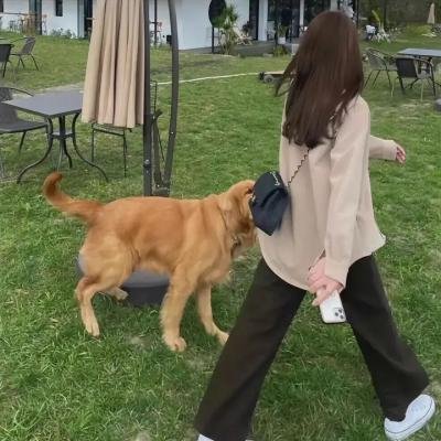 汉尼拔 在线观看封面
